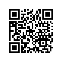 13102-399-010 Piston