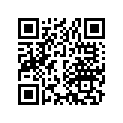 13102-400-010 Piston (os) (0.25)