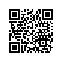 13102-410-003 Piston (os) (0.25)