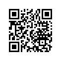 13102-417-010 Piston (os) (0.25)