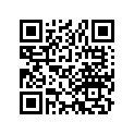 13102-422-003 Piston (os) (0.25)