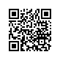 13102-447-671 Piston (os) (0.25)