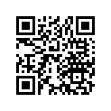 13102-848-000 PISTON(OS)(0.25)