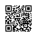 13102-889-010 PISTON(0.25)