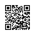 13102-943-000 Piston (os 0.25)