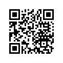 13102-958-000 Piston (os 0.25)