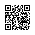 13102-968-000 Piston (os 0.25)