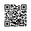 13102-GF5-670 Piston (os) (0.25)