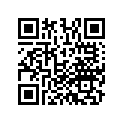 13102-GFM-900 Piston (0.25)