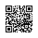 13102-GS7-306 PISTON,OS 0.25