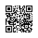 13102-HA0-305 PISTON (OS) (0.25)