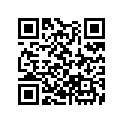 13102-HL6-305 PISTON (O.S. 0.25)