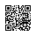 13102-HM8-000 Piston (os 0.25)