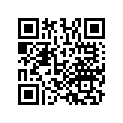 13102-HN0-A00 Поршень
