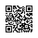 13102-KA3-740 Piston (os) (0.25)