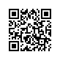 13102-KA4-711 Piston (os) (0.25)
