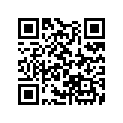 13102-KA5-691 Piston (os) (0.25)