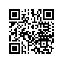 13102-KF0-003 Piston (os) (0.25)