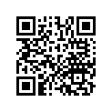 13102-KK0-305 Piston (os) (0.25)