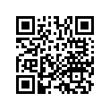 13102-KN5-305 Piston (os) (0.25)
