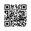 13102-KPL-901 Piston