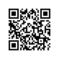 13102-KR0-305 Piston (os) (0.25)