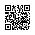 13102-KRM-305 Piston (0.25)