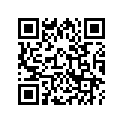 13102-KS6-700 PISTON,OS 0.25