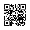 13102-KY7-305 Piston (os) (0.25)