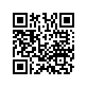 13102-KYZ-900 PISTON (0.25)