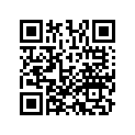 13102-KZ3-J20 PISTON B