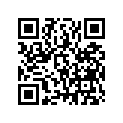 13102-MAL-305 PISTON,0S 0.25
