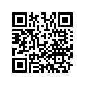 13102-MBW-305 PISTON,OS 0.25