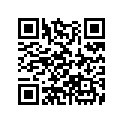13102-MFJ-D00 PISTON (0.25)