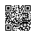 13102-MG3-003 Piston (os) (0.25)