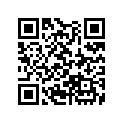 13102-MJ1-670 Piston (os) (0.25)