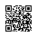 13102-MJ8-315 Piston (os) (0.25)