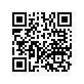 13102-MM8-000 Piston (os) (0.25)