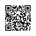 13102-MN0-305 Piston (os) (0.25)