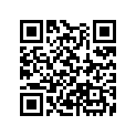 13102-MT6-305 Piston (os) (0.25)