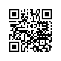 13102-MV1-305 Поршень