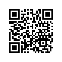 13102-MW4-305 Piston (os) (0.25)