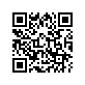 13102-MZ1-305 Piston (os) (0.25)