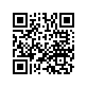 13102-MZ5-305 Piston (os 0.25)