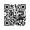 13102-Z7D-800 PISTON(0.25)