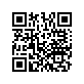 13102-Z7E-800 PISTON(0.25)