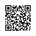 13102-ZC0-003 PISTON(0.25)