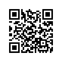 13102-ZE2-W01 PISTON(0.25)