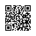 13102-ZE3-W01 PISTON(0.25)