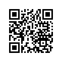 13102169000 PISTON (0.25)